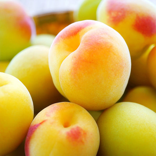 日本大分柑橘梅酒 720ml Oyama Japanese Kabosu Umeshu 12%