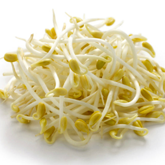 Soybean Sprouts Each Pack / 黃豆芽 400g 每包