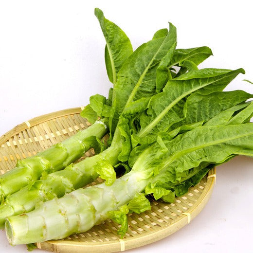 Celtuce Each One  莴笋 (萵筍) 每条250-300g