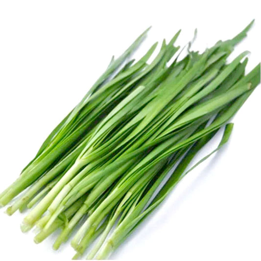 Chinese Chives Bag  / 韭菜 每包