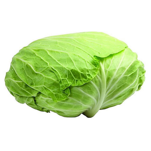 Chinese cabbage each one  中国包菜 每个