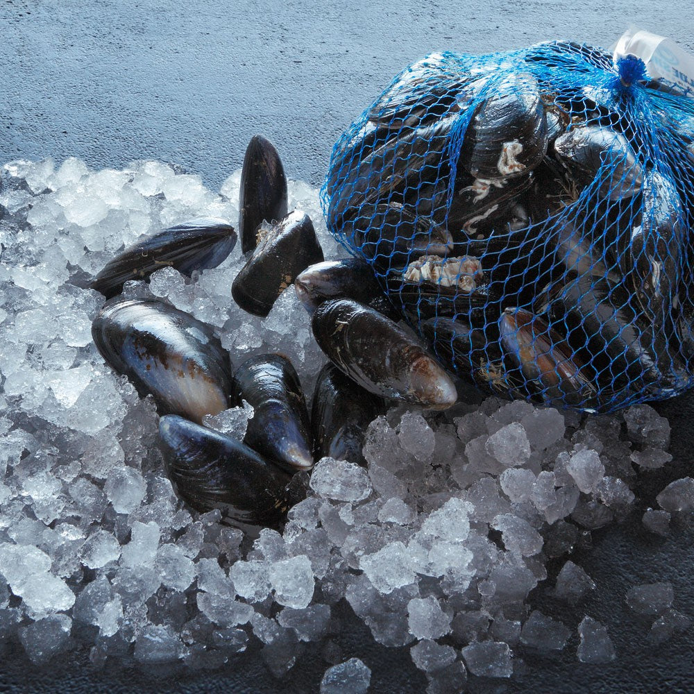 Fresh Mussels each pack 1kg 新鲜青口 每袋 (Cambridge Delivery Only)