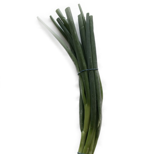 Spring Onion / 葱 每扎