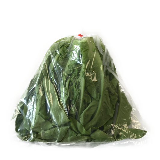 Chinese Lettuce Each Pack 中國油麥菜 400g 每包