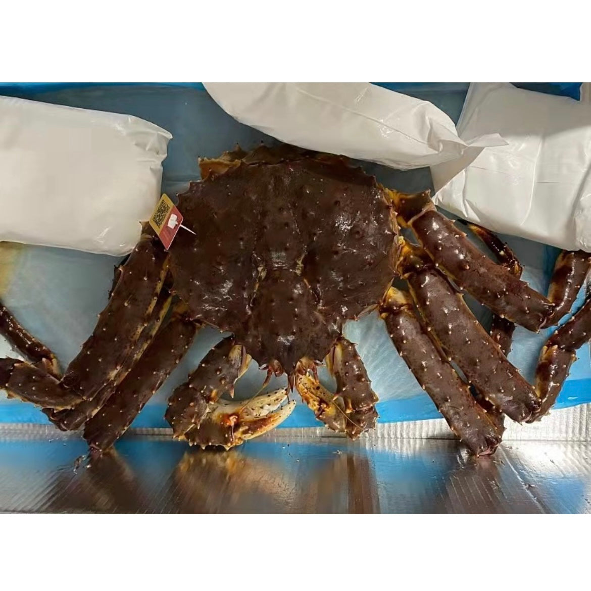 帝王蟹 每kg 130鎊 King Crab £130/kg (pls book in advance 3 days before)(需提前3天預訂)(Cambridge Delivery Only)