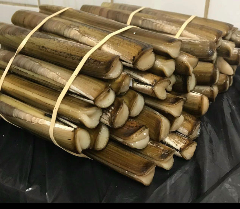 蟶子 每隻 Fresh Razor Clam each one (Cambridge Delivery Only)