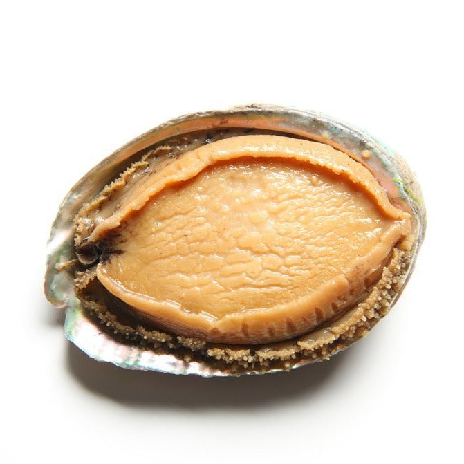 新鮮鮑魚 每個 Fresh Abalone (Cambridge Delivery Only)