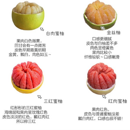 四色柚子 禮盒 / 4 COLOUR POMELO GIFT BOX