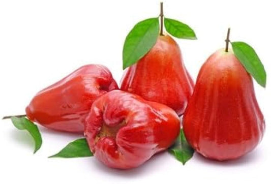 泰國蓮霧 500g Thai Red Rose Apple
