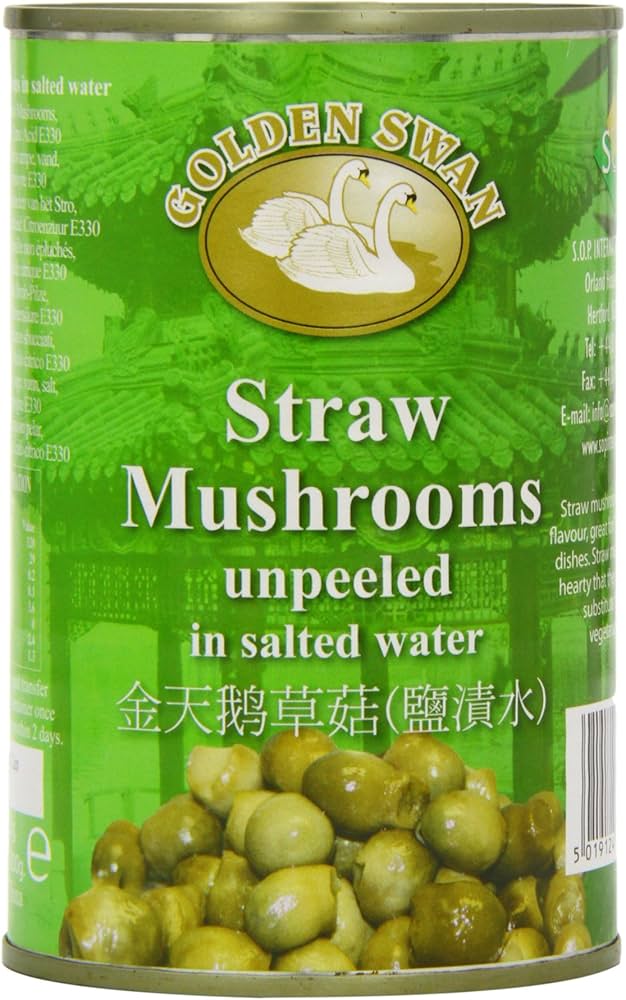 [新品] 金天鵝 鮮草菇(鹽漬水) 425g GS Straw Mushrooms in salted water