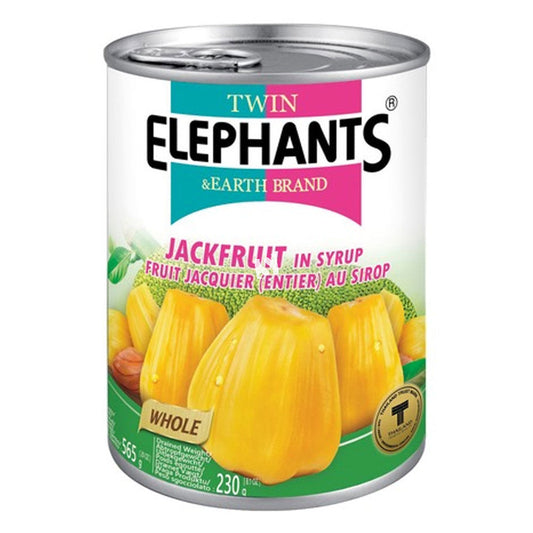 TE Jackfruit in Syrup 565g 雙象 糖水菠蘿蜜