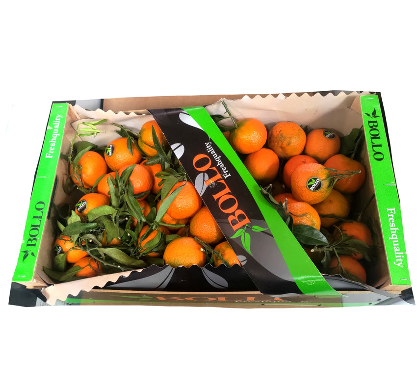Tangerine Box / 柑 每箱