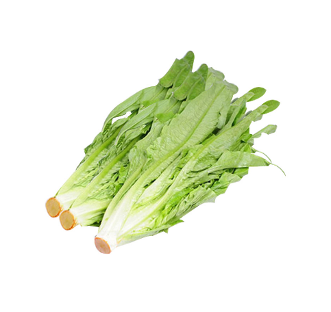Chinese Lettuce Each Pack 中國油麥菜 500g 每包