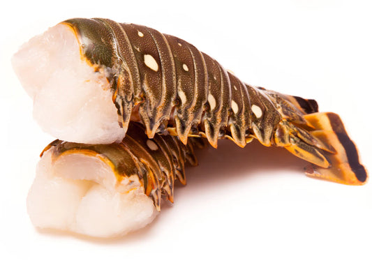龍蝦尾 每隻約 170g Lobster Tail 1pc