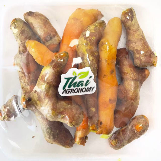 泰國黃姜 100g Thai Turmeric