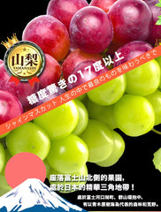 [店長推介] Nagano Queen Nina Grapes ~450g 日本山梨縣妮娜皇后葡萄