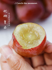 [店長推介] Nagano Queen Nina Grapes ~450g 日本山梨縣妮娜皇后葡萄