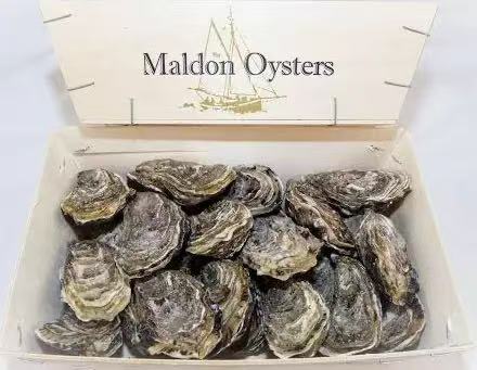 新鮮生蠔 Fresh Oysters Each One (Cambridge Delivery Only)