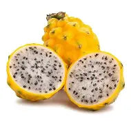 麒麟果 每個 Yellow Pithaya