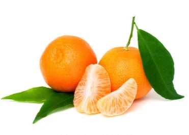 西班牙柑 Leaf Mandarin