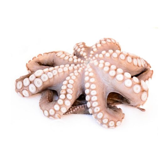 冰鮮八爪魚 1kg (net 900g) Frozen Octopus Whole Cleaned