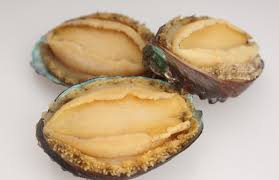 新鮮鮑魚(大) 每個 Abalone (Cambridge Delivery Only)