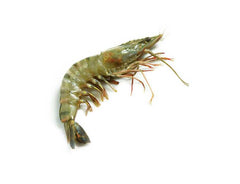 20-30 head on prawn 1kg / 20-30 有头南美虾 1kg