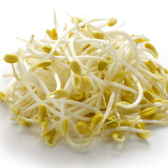 Soybean Sprouts Each Pack / 黃豆芽 每包
