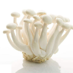 Shimeji Mushroom White Each Pack 150g/ 白玉菇 每盒 150g