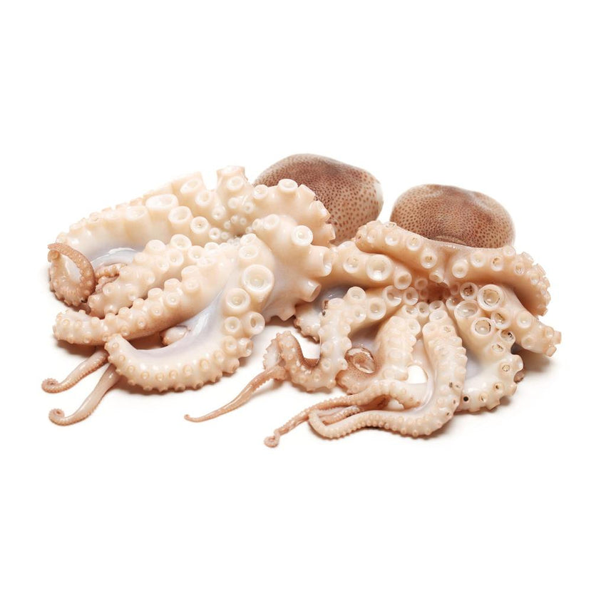 Fresh Octopus 1kg-1.5kg / 新鲜八爪鱼  (Cambridge Delivery Only)