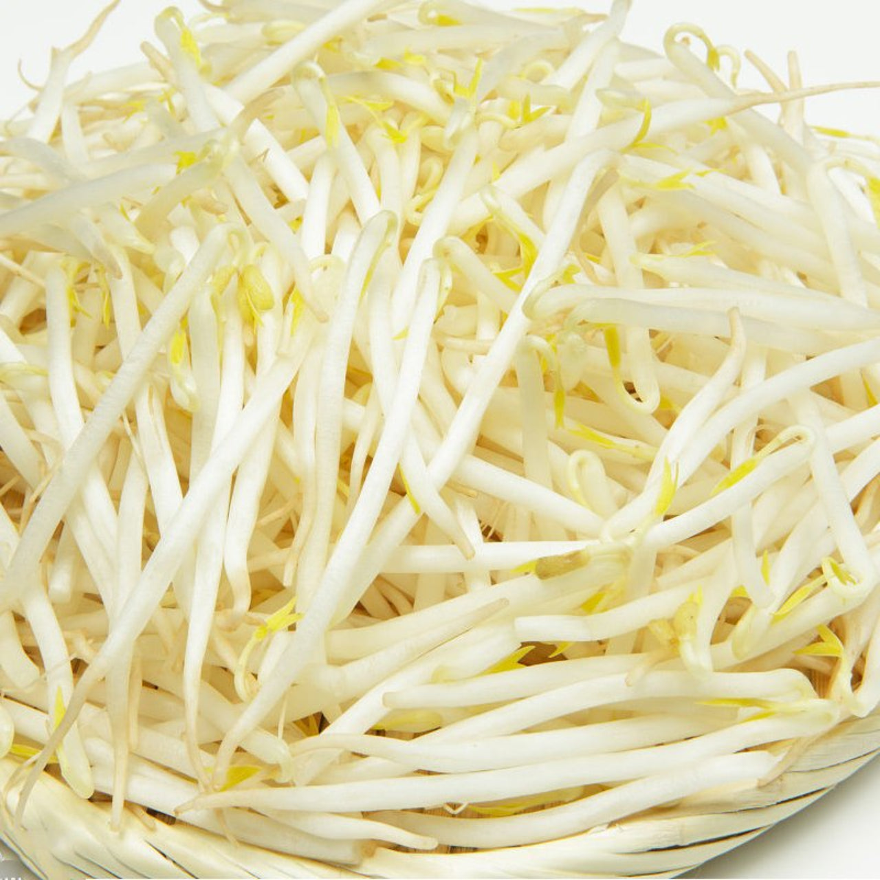 芽菜 400g Beansprouts
