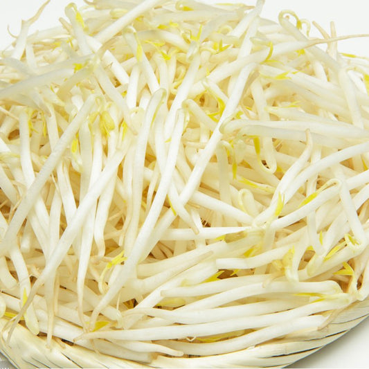 芽菜 400g Beansprouts