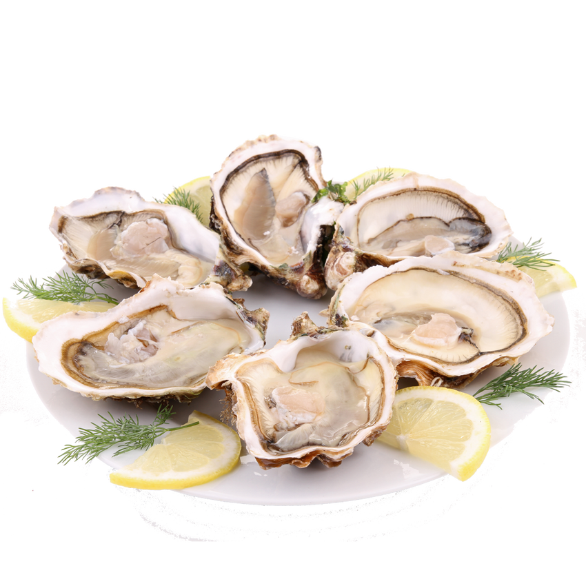 Fresh Oysters Each One / 超大生蚝  每个  (Cambridge Delivery Only)