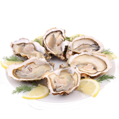 Fresh Oysters Each One / 超大生蚝  每个  (Cambridge Delivery Only)