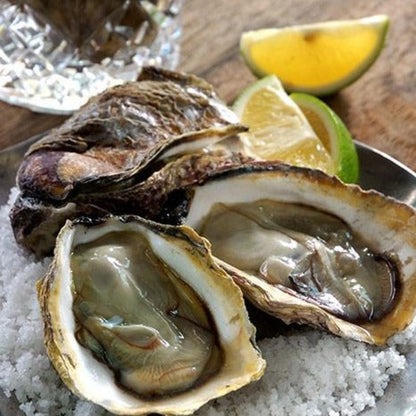 新鮮生蠔 Fresh Oysters Each One (Cambridge Delivery Only)