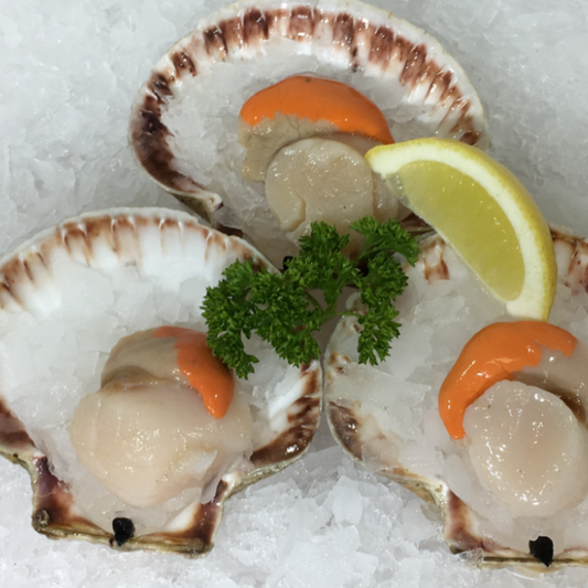 新鮮帶子 Fresh Scallops (Cambridge Delivery Only)
