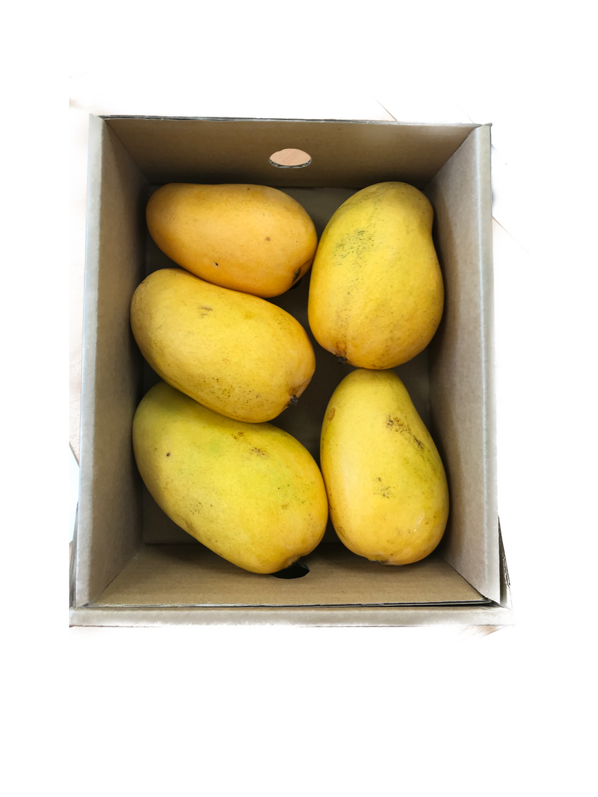 Tropical Mango Each Box 热带芒果 每盒