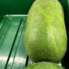 Zucchini Each / 节瓜 每个