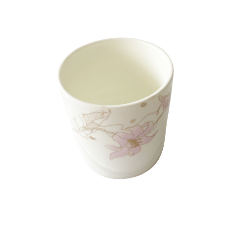 150cc Cup 杯子 每个 （颜色随机）