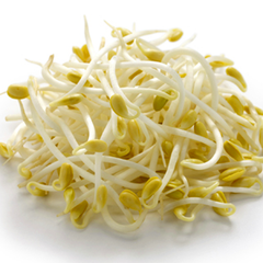 Soybean Sprouts Each Pack / 黄豆芽 每包