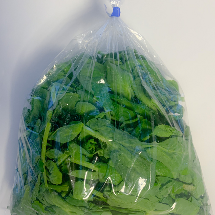 Pea shoots per bag  / 豆苗 每包