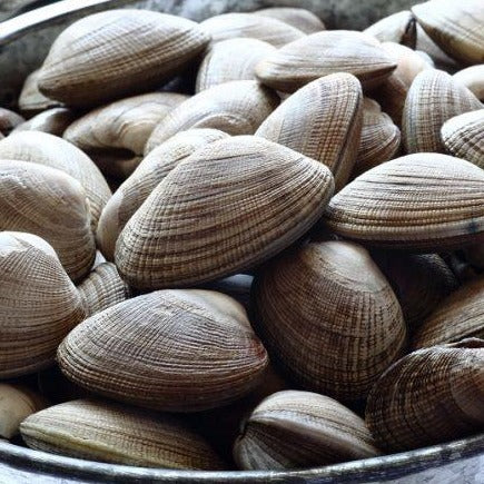 Fresh Clam Per bag 1kg  新鲜花蛤 每包  (Cambridge Delivery Only)